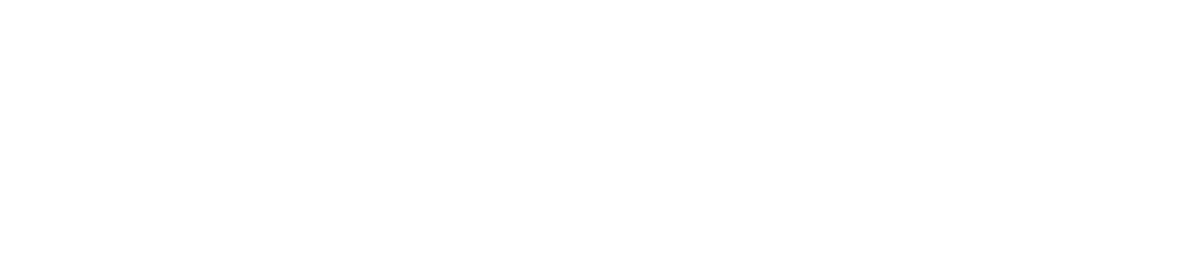 MCI-wedge-logo